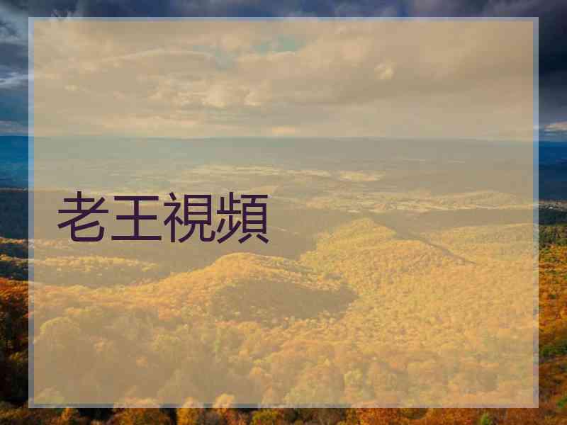 老王視頻