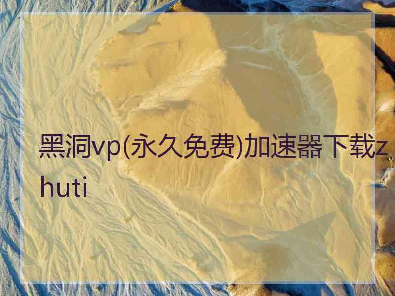 黑洞vp(永久免费)加速器下载zhuti