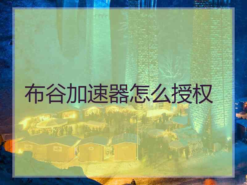 布谷加速器怎么授权