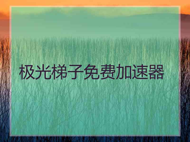 极光梯子免费加速器