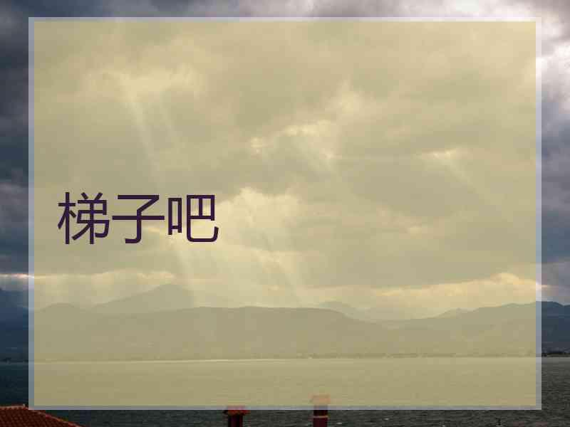 梯子吧