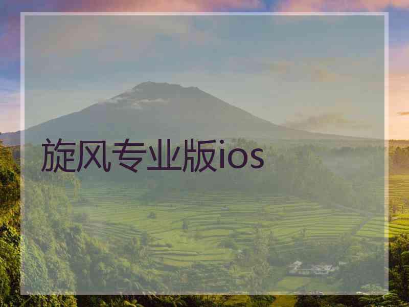 旋风专业版ios
