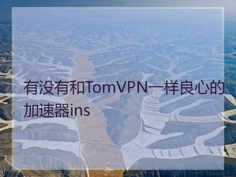 有没有和TomVPN一样良心的加速器ins
