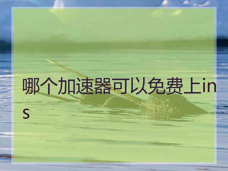 哪个加速器可以免费上ins