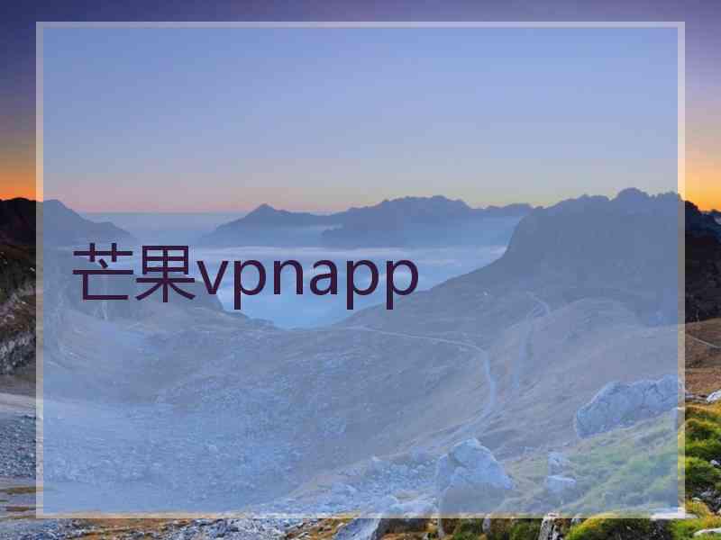芒果vpnapp