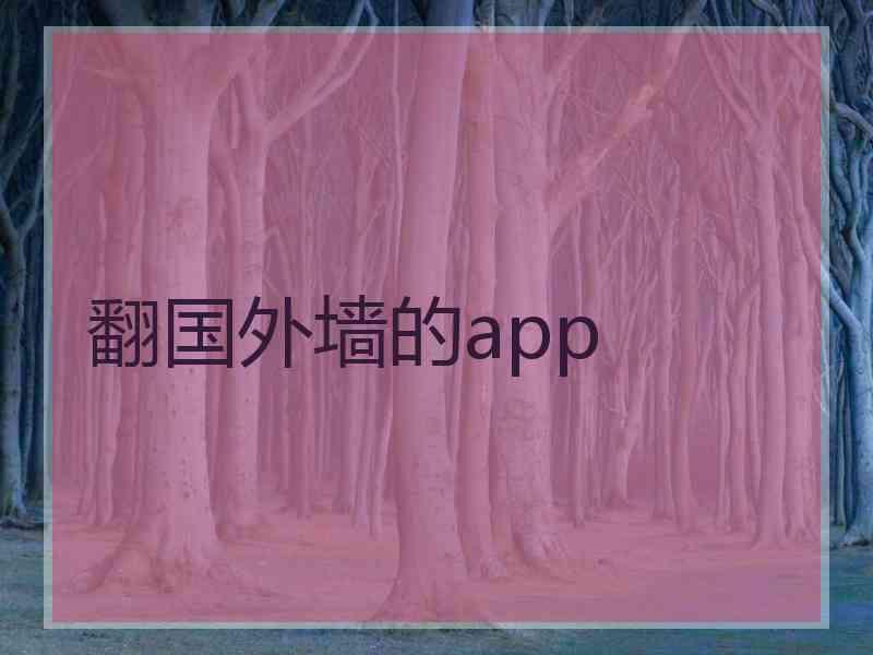 翻国外墙的app