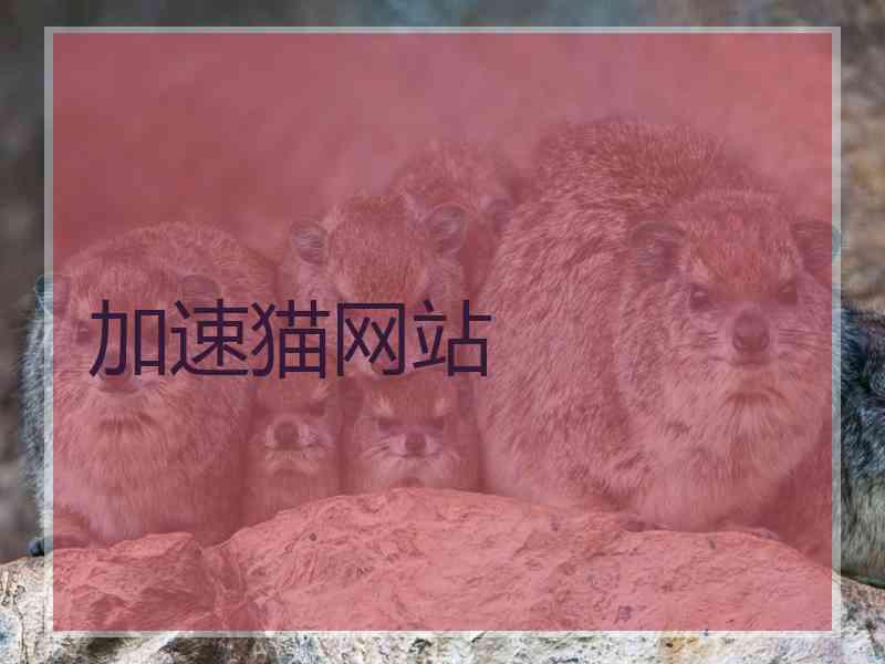 加速猫网站