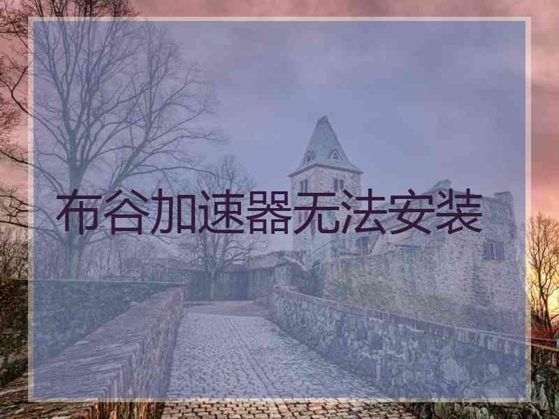 布谷加速器无法安装