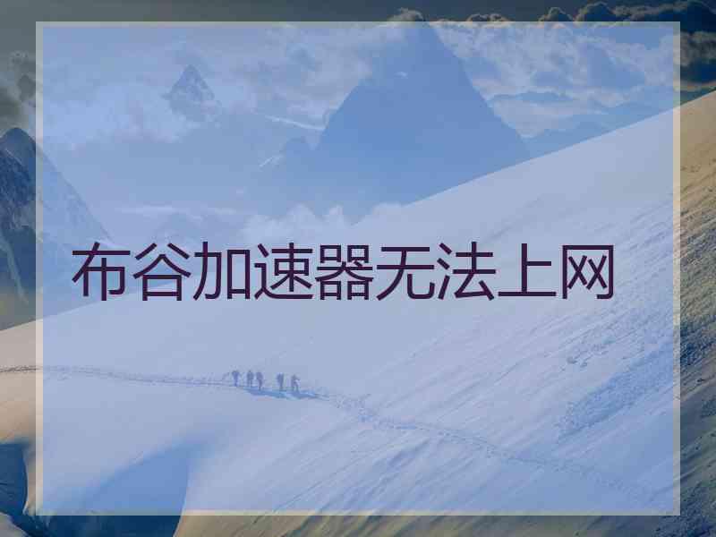 布谷加速器无法上网