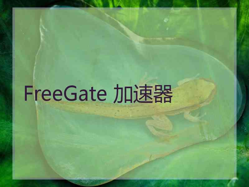FreeGate 加速器
