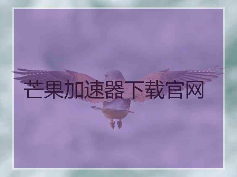 芒果加速器下载官网