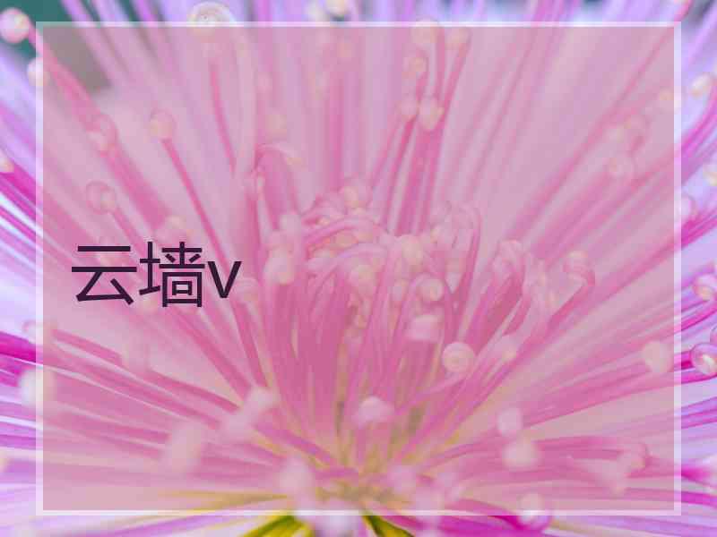云墙v