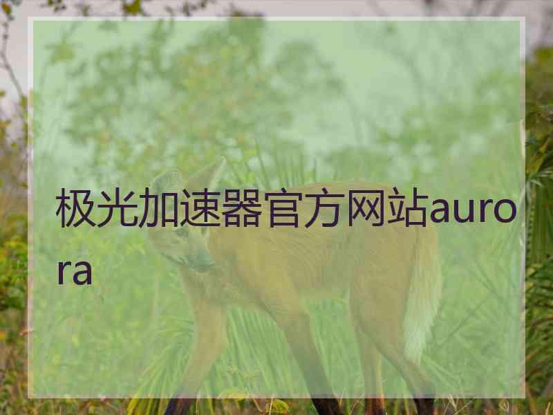 极光加速器官方网站aurora