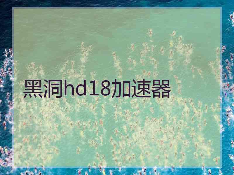 黑洞hd18加速器