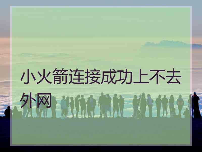 小火箭连接成功上不去外网
