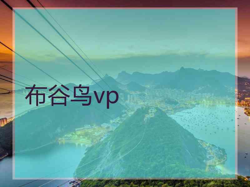 布谷鸟vp