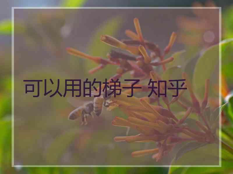 可以用的梯子 知乎