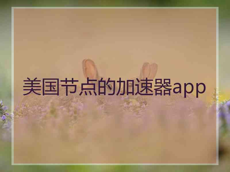 美国节点的加速器app