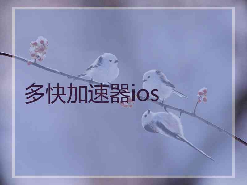 多快加速器ios
