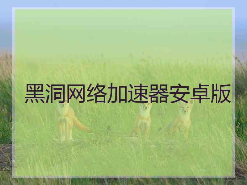 黑洞网络加速器安卓版