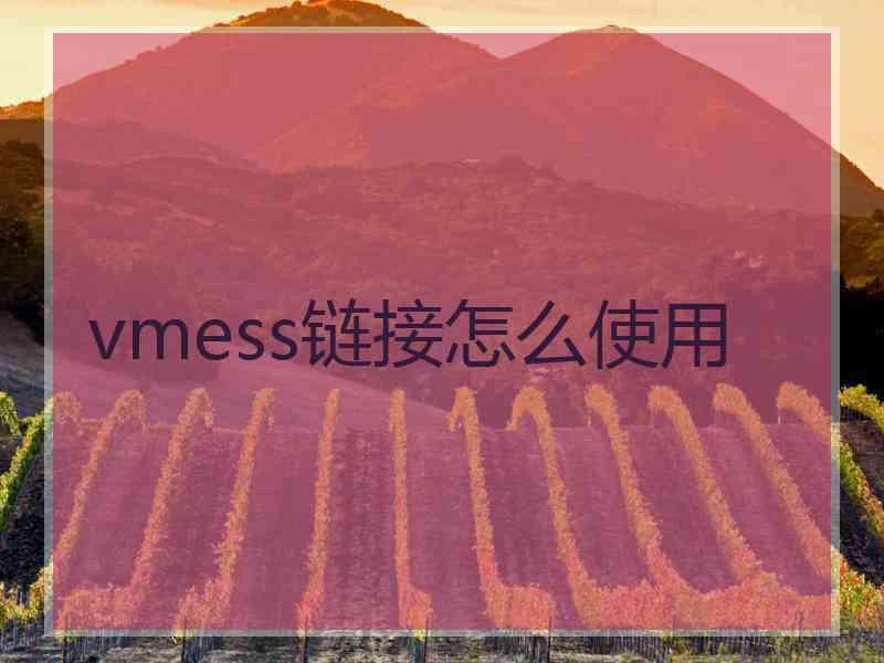 vmess链接怎么使用