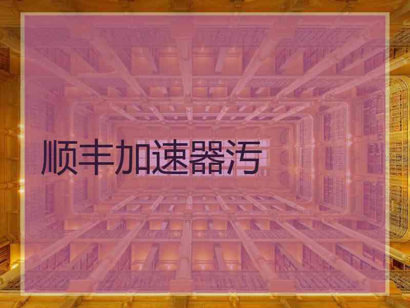 顺丰加速器汚
