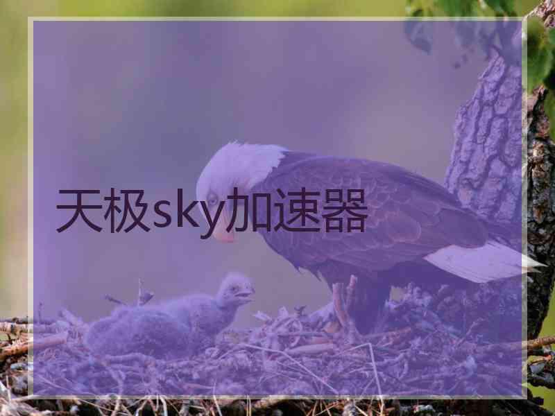 天极sky加速器