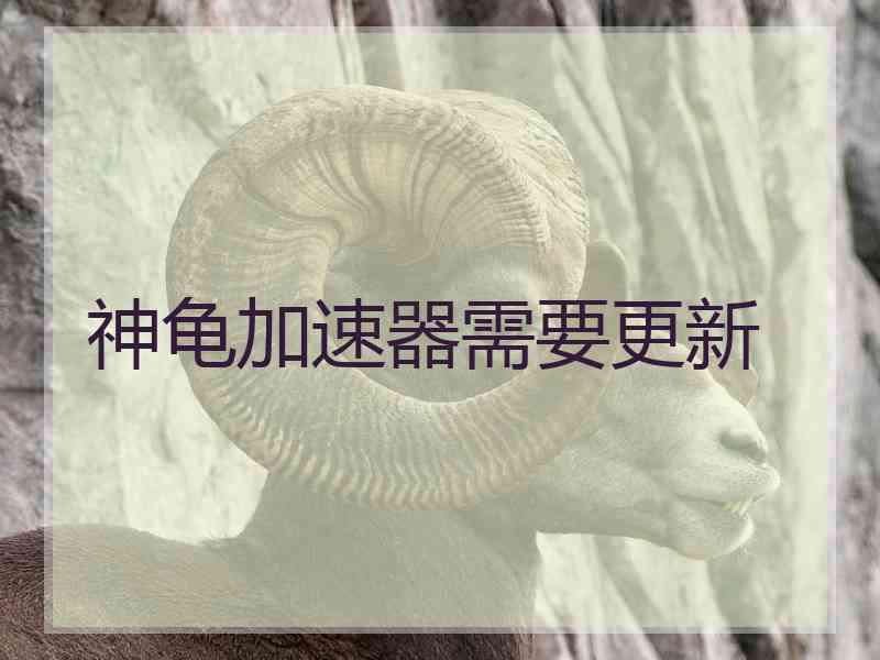 神龟加速器需要更新