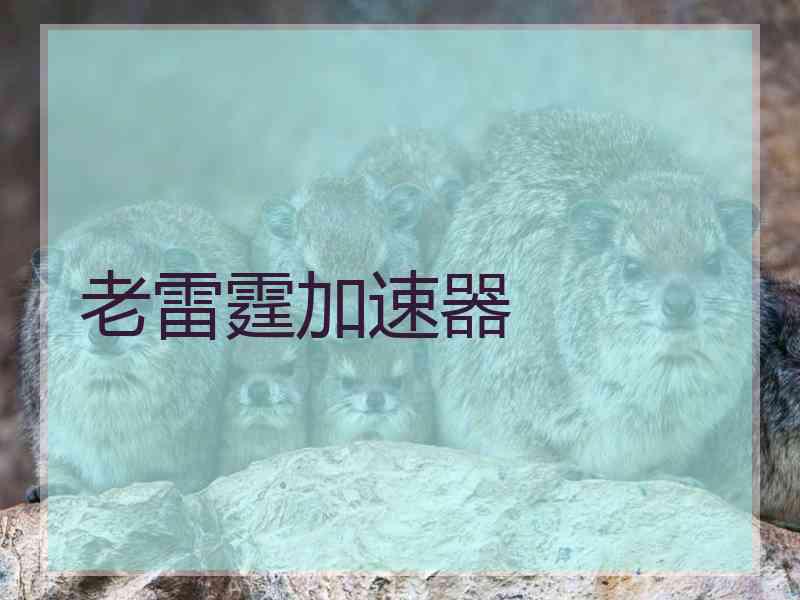 老雷霆加速器