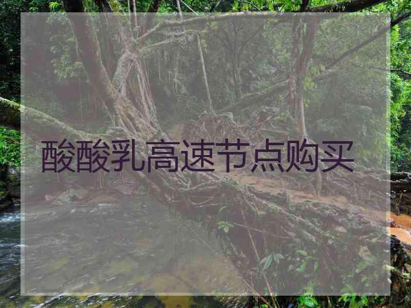 酸酸乳高速节点购买