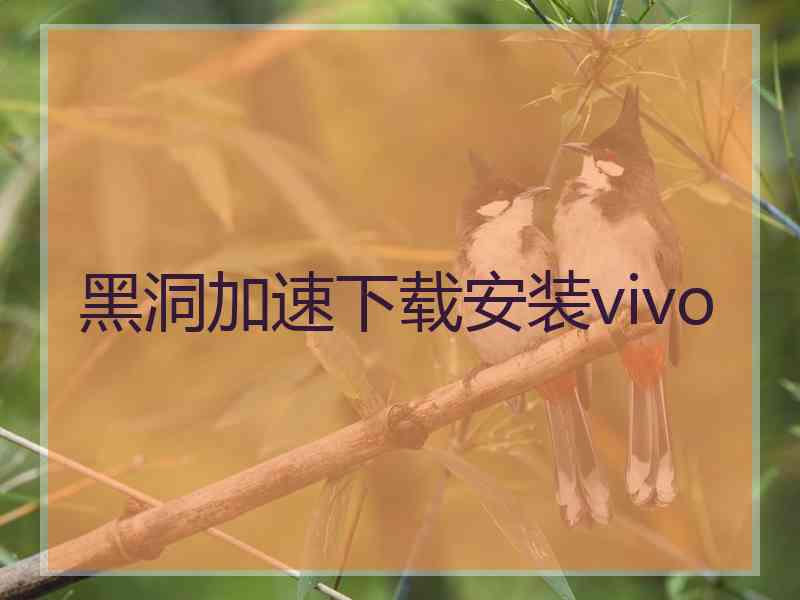 黑洞加速下载安装vivo