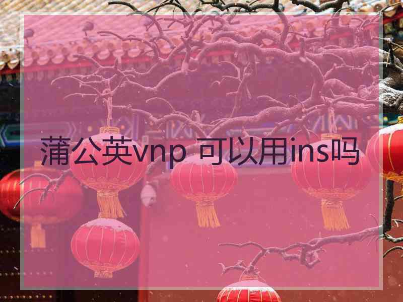 蒲公英vnp 可以用ins吗