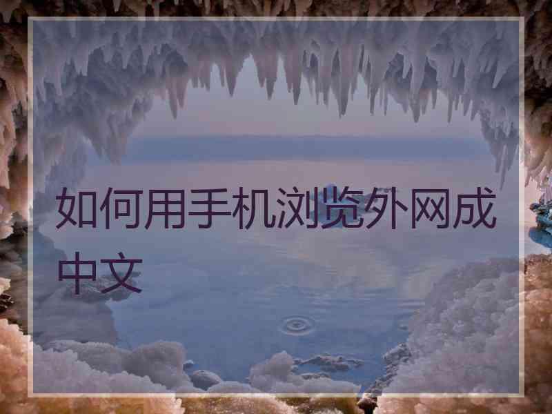 如何用手机浏览外网成中文