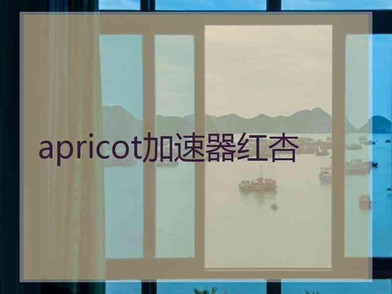 apricot加速器红杏
