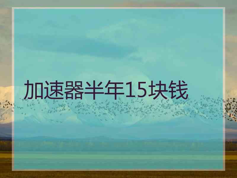加速器半年15块钱