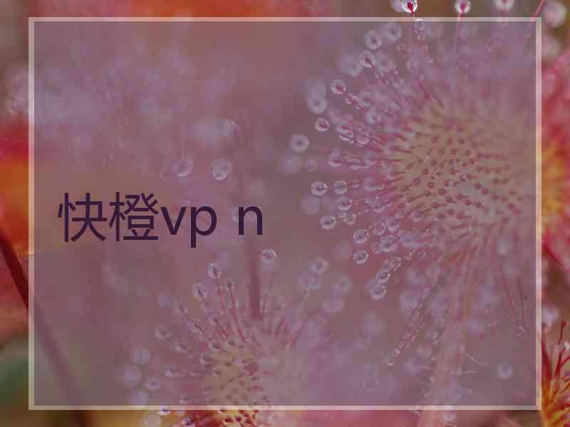 快橙vp n
