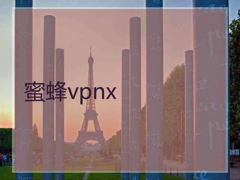 蜜蜂vpnx