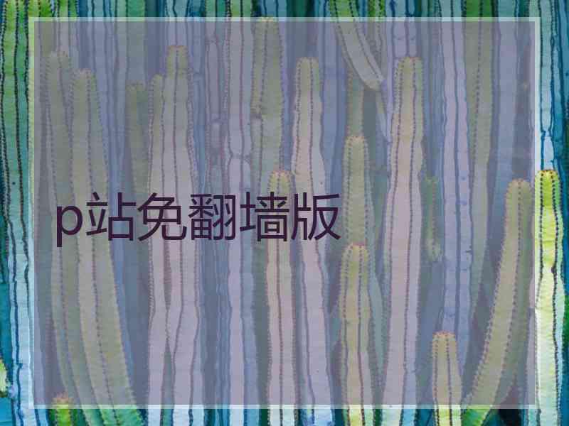p站免翻墙版