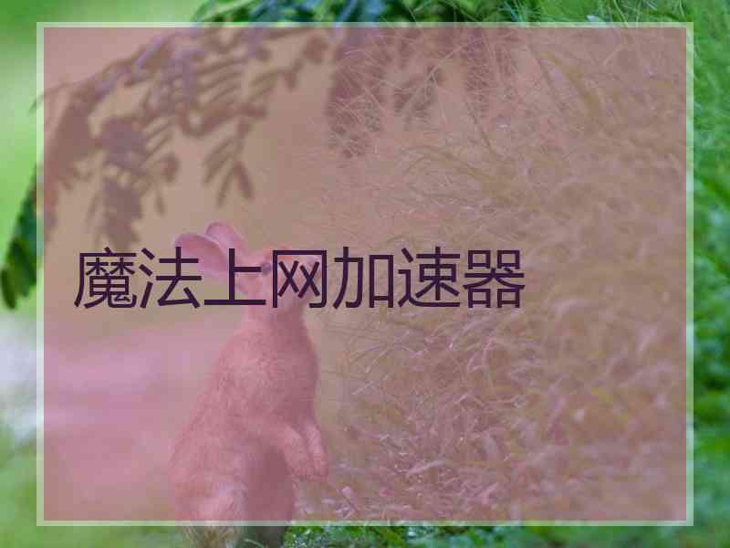 魔法上网加速器