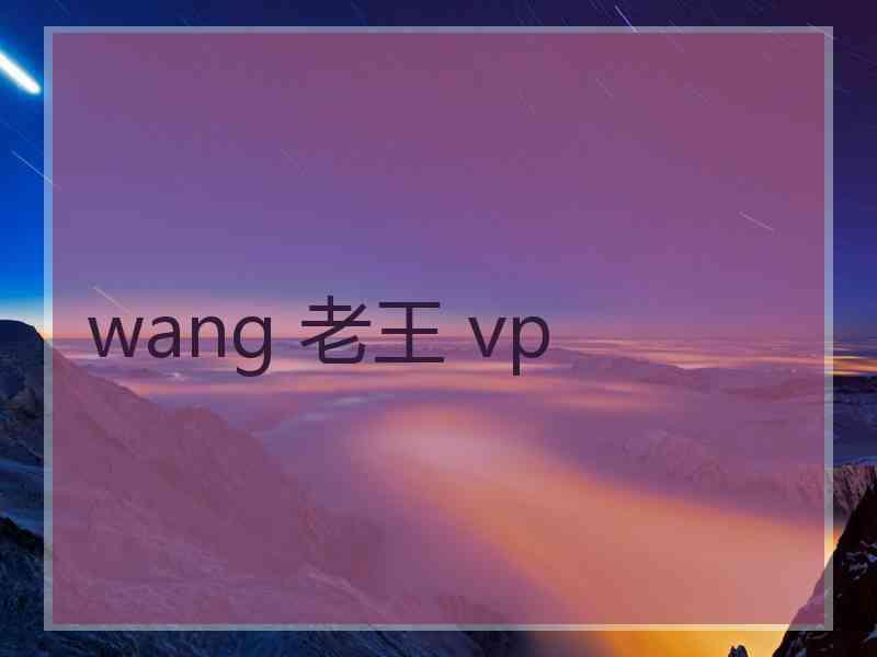 wang 老王 vp