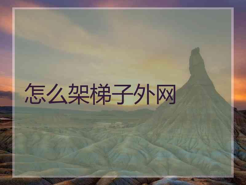 怎么架梯子外网