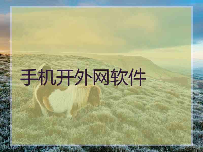 手机开外网软件