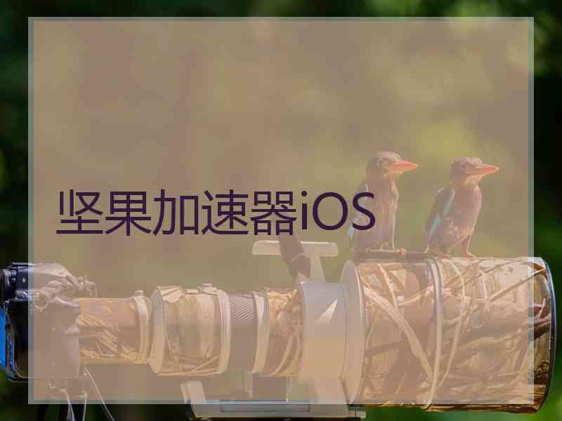 坚果加速器iOS