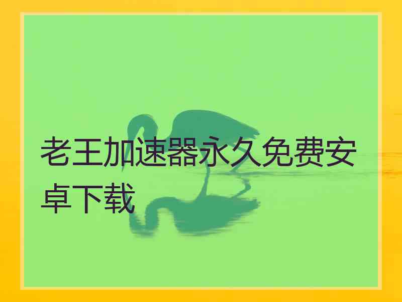 老王加速器永久免费安卓下载
