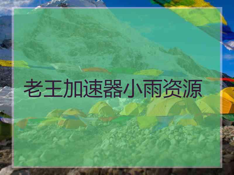 老王加速器小雨资源