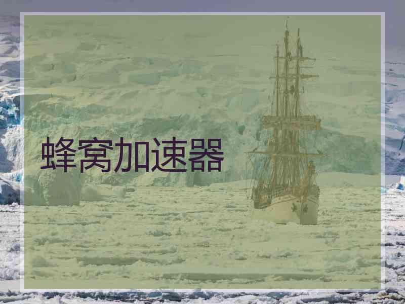 蜂窝加速器