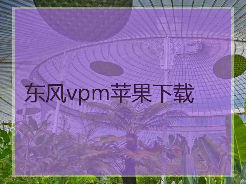 东风vpm苹果下载