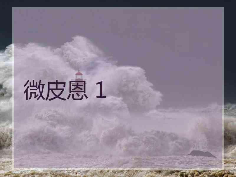 微皮恩 1