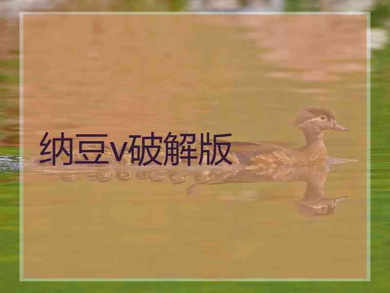 纳豆v破解版
