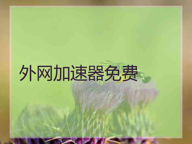 外网加速器免费